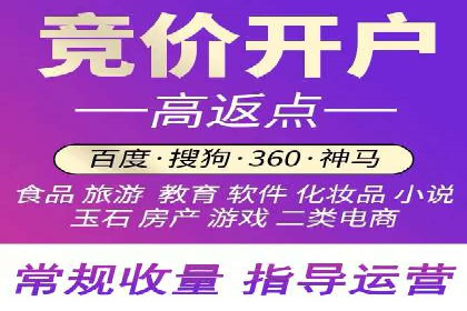 SEM推广公司案例：打造行业领军品牌